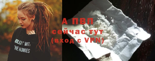 индика Покров