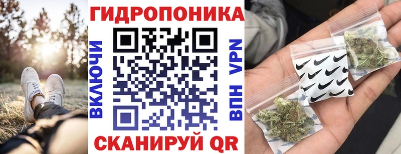 blacksprut онион  где найти наркотики  Ветлуга  Каннабис ГИДРОПОН 